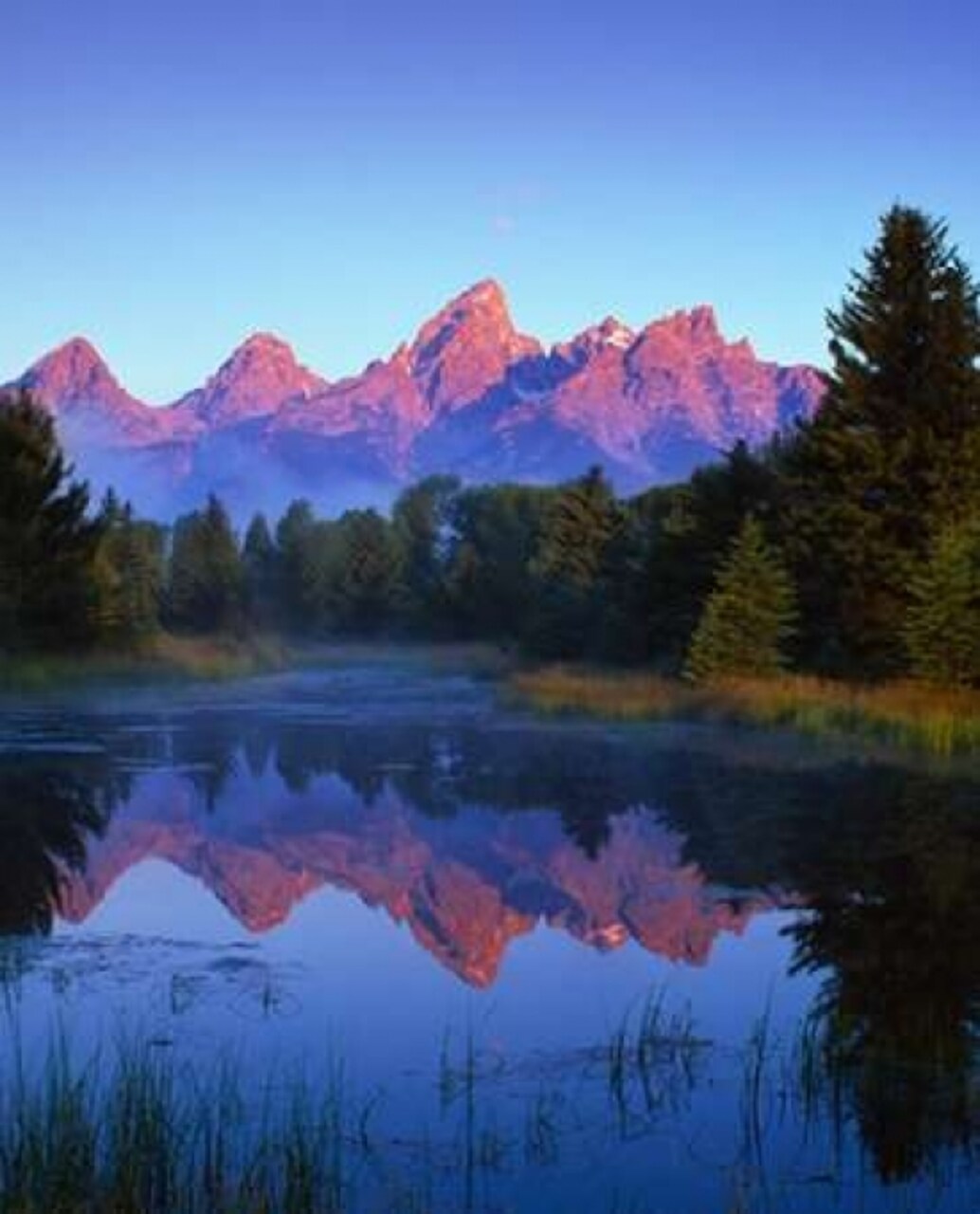 Grand Teton National Park VI Poster Print by Ike Leahy - Item # VARPDXPSLHY161